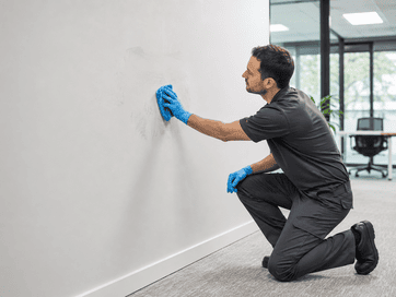 Wall Spot Cleaning