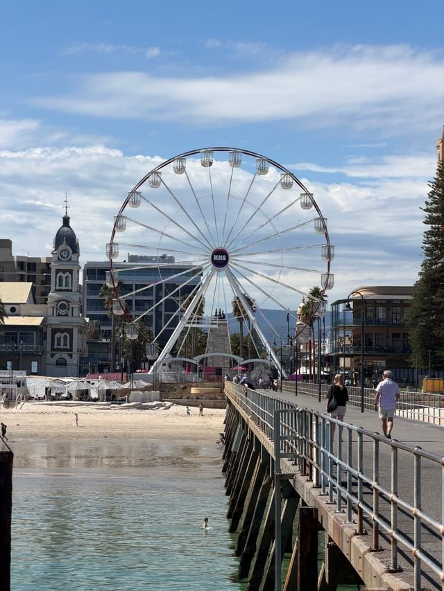 End of Lease Cleaning in Glenelg End of Lease Cleaning in Glenelg